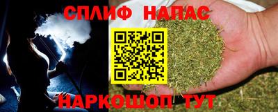 прущие грибы Балаково